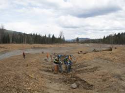 Hazeltine Creek preparatory work for planting. Planting crew from Xatsull FN (Soda Creek Indian Band)--Apr 2015 Apr 2015